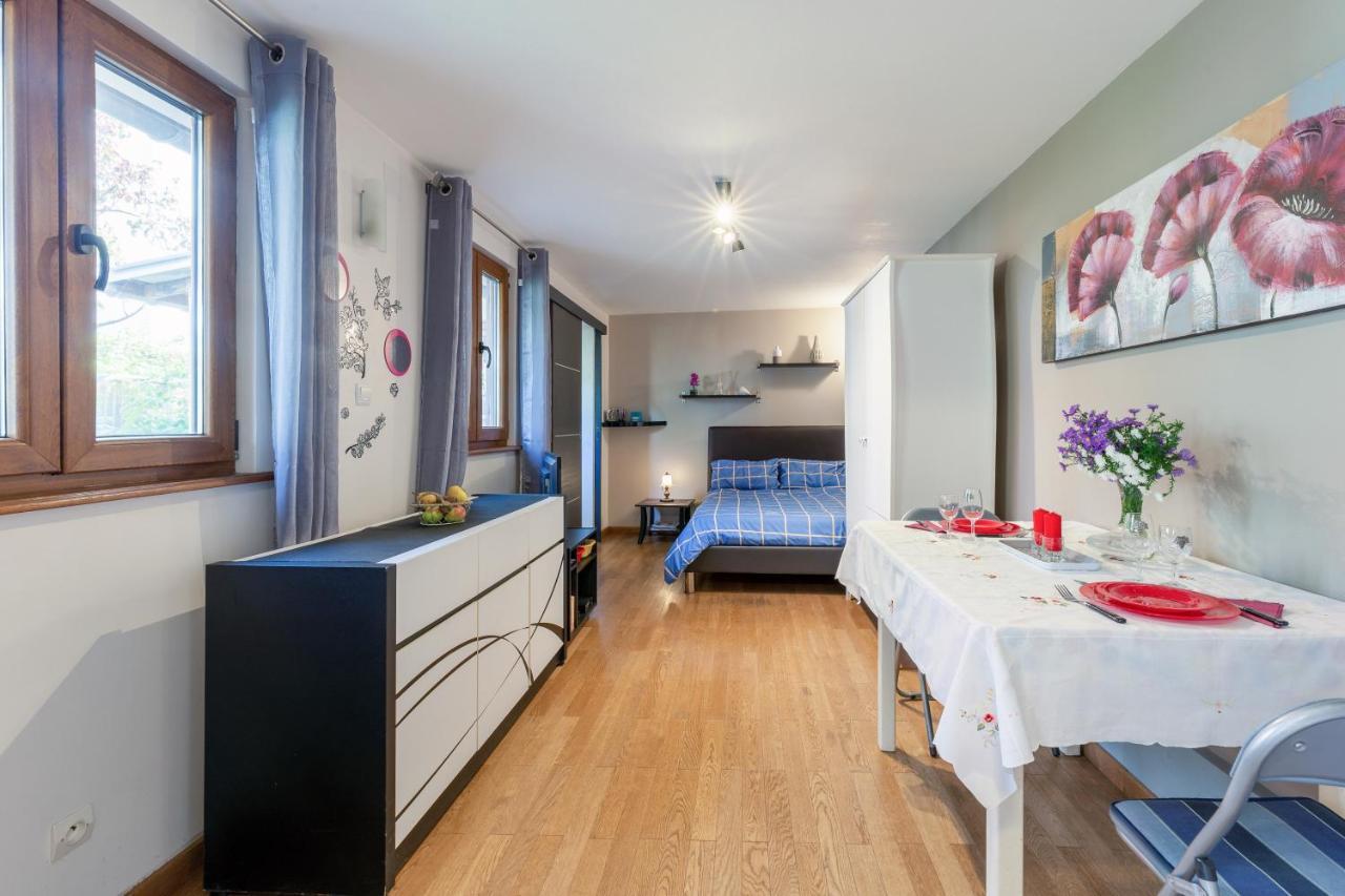 Apartament La Colmarienne Zewnętrze zdjęcie